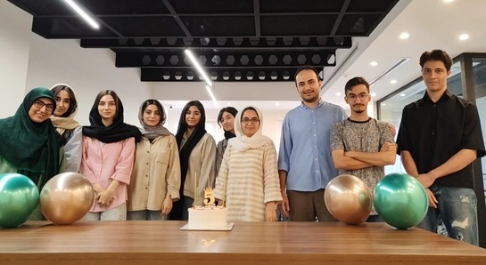 تیم میزفا تولز