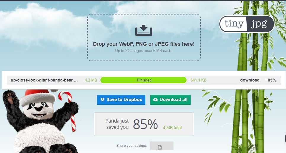 سایت آنلاین کاهش حجم تصاویر tinyjpg